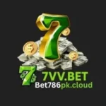 7VV Bet Game APK