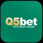 Q5 Bet Game Download APK Pakistan