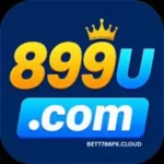 899U Game