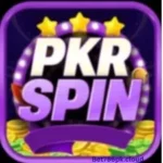 PKR Spin Game
