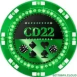 CD 22 Game